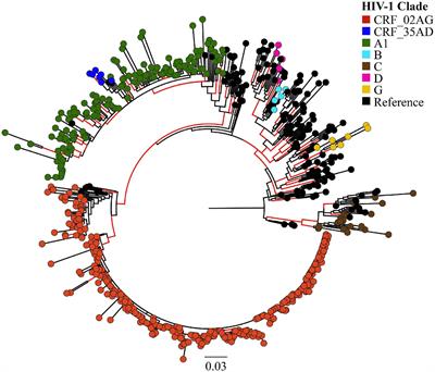 Phylogenetic and Drug-Resistance Analysis of HIV-1 Sequences From an Extensive Paediatric HIV-1 Outbreak in Larkana, Pakistan